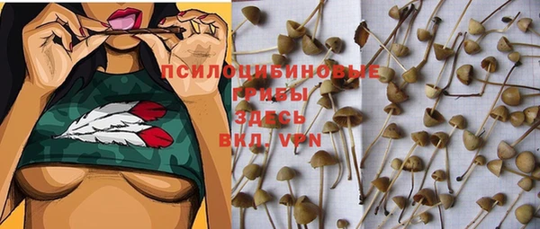 ALPHA PVP Краснослободск