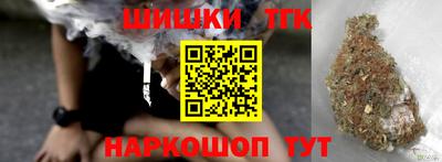 apvp Гатчина