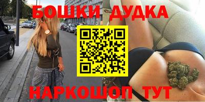 apvp Гатчина