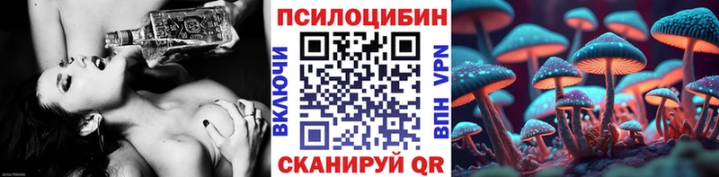 продажа наркотиков  Ливны  Галлюциногенные грибы Psilocybe 