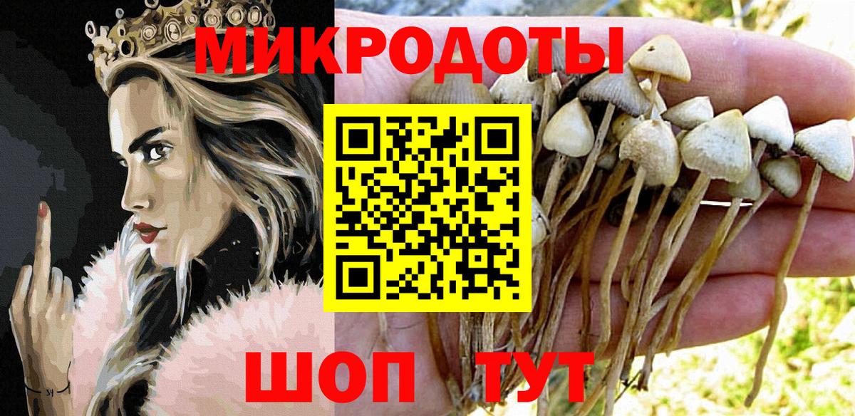 Псилоцибиновые грибы MAGIC MUSHROOMS  Вход с VPN  Галлюциногенные грибы GOLDEN TEACHER  Ливны 
