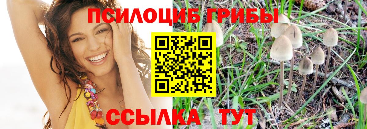 Псилоцибиновые грибы Cubensis Ливны